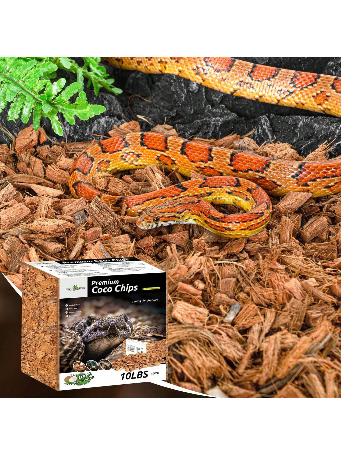 72 Quart Reptiles Coconut Chip Substrate, Coco Husk Reptiles Bedding for Ball Python, Snakes, Geckos, Lizards, Tortoises, Frogs| Odor Absorption| 100% Organics