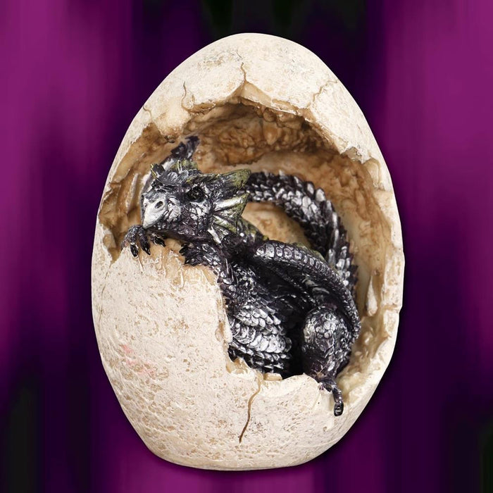Purple Dragon Hatchling and Egg Statue
