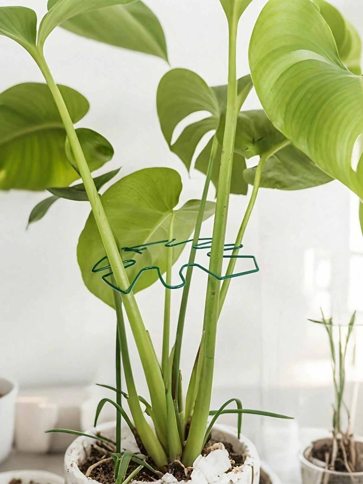 1/5pcs Durable Turtle Shell Bamboo Trellis & Support System- Metal Climbing Plant Trainer With Bamboo Handle Kit, Ideal For Healthy, & Aesthetic Plant Growth Support, Plant Support Structure| Climbi