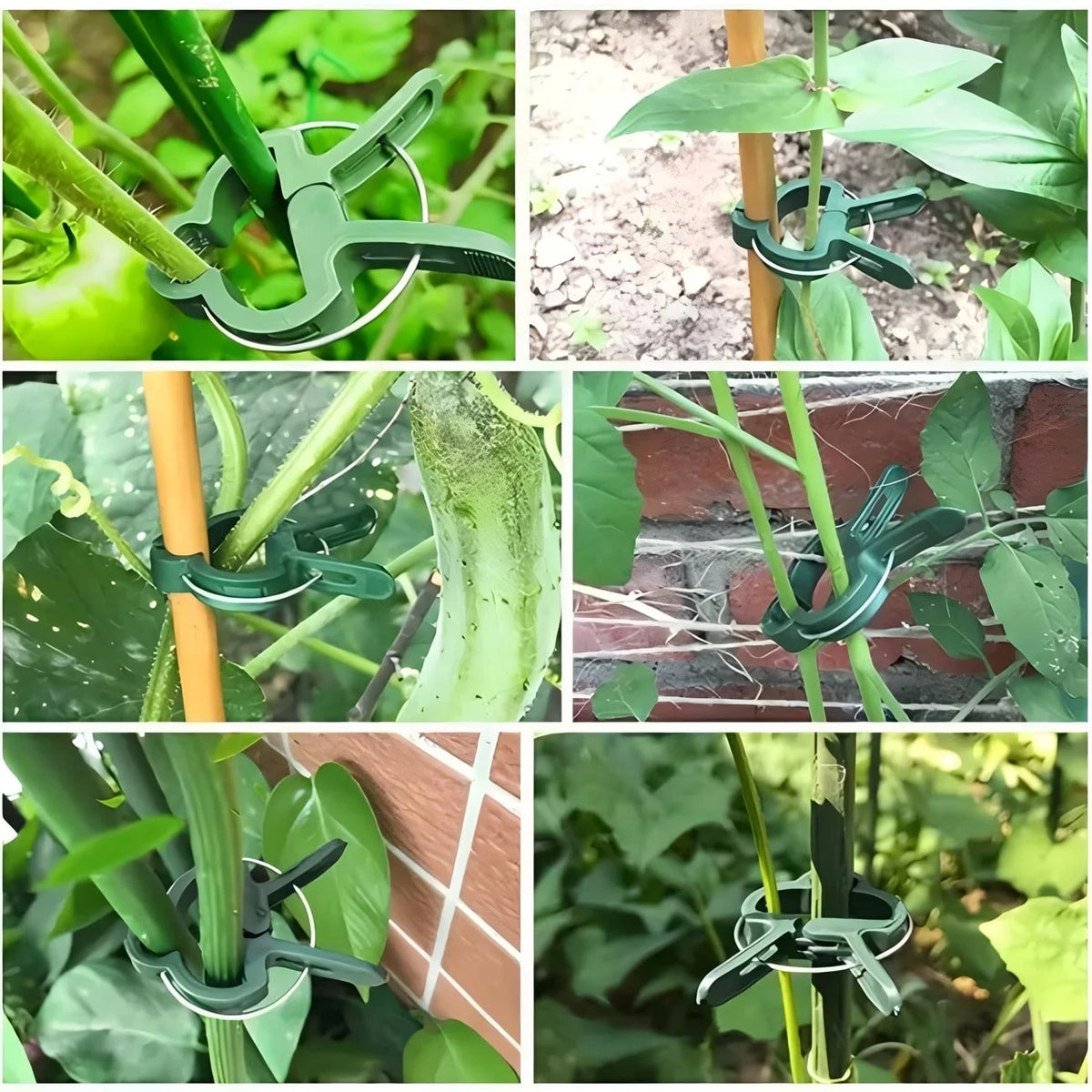 10/30pcs Durable Plant Clips, Gardening Plant Support Clips, Green Lever Ring Clips- These Green Plastic Vine Clips Are Adjustable With Metal Clips, Suitable For Garden And Greenhouse- Support Grape