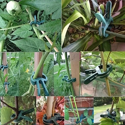10/30pcs Durable Plant Clips, Gardening Plant Support Clips, Green Lever Ring Clips- These Green Plastic Vine Clips Are Adjustable With Metal Clips, Suitable For Garden And Greenhouse- Support Grape