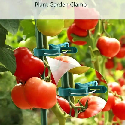 10/30pcs Durable Plant Clips, Gardening Plant Support Clips, Green Lever Ring Clips- These Green Plastic Vine Clips Are Adjustable With Metal Clips, Suitable For Garden And Greenhouse- Support Grape