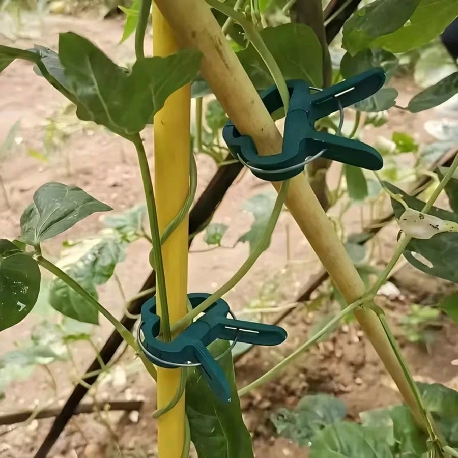 10/30pcs Durable Plant Clips, Gardening Plant Support Clips, Green Lever Ring Clips- These Green Plastic Vine Clips Are Adjustable With Metal Clips, Suitable For Garden And Greenhouse- Support Grape