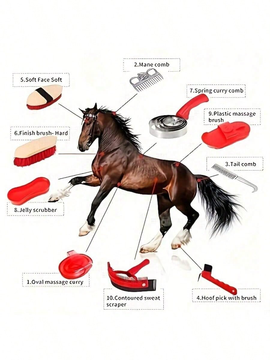 10pcs Horse Grooming Kit, Horse Care Set, Includes Horse Brush, Curry Comb, Hoof Pick, Sweat Scraper For Horse Riding Care