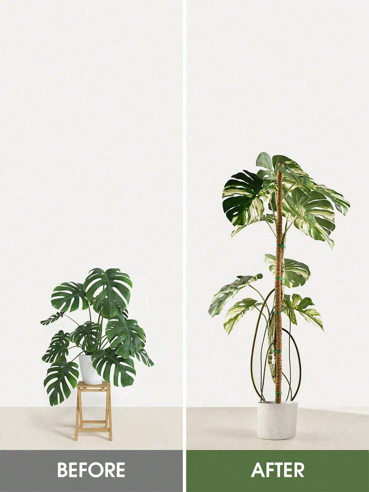 1Pc/2Pcs Diy Bendable Plant Support Poles, Flexible Moss Poles, Free-Form Climbing Vine Poles, Used To Support Plants, Monster Plants, Climbing Plants, Indoor Plants, Flowers, And Potted Plants With S