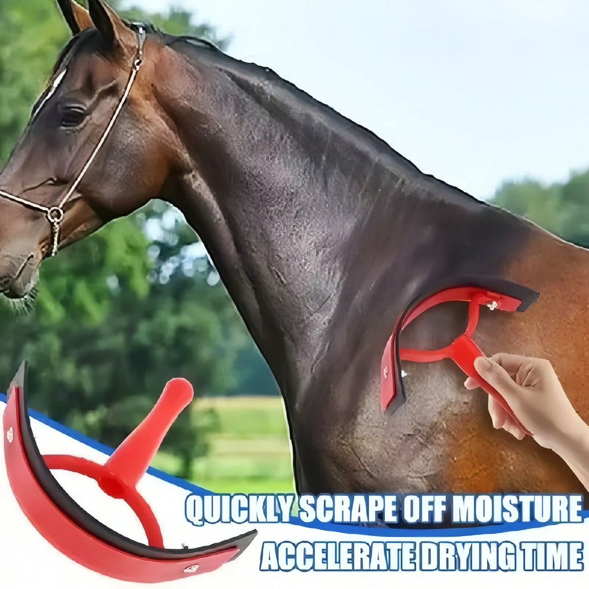 1Pc Horse Half-Moon Sweat Scraper. Designed For Gentle Care, Efficient Cleaning And Soothing Massage, Ideal For All Your Equestrian Needs.