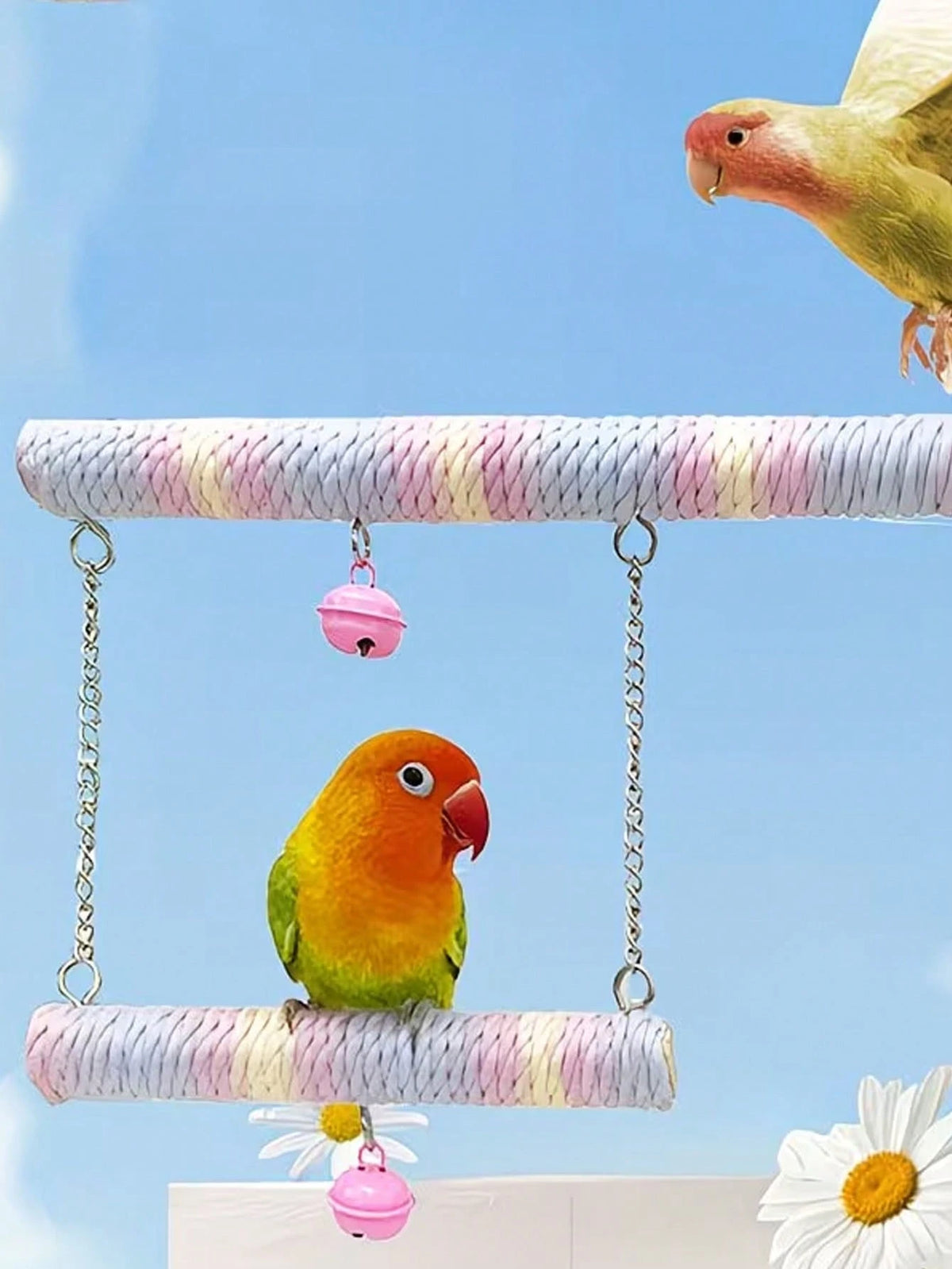 1pc Macaron Color Parrot Swing, Hammock, Made Of Wood, Suitable For Small To Medium Pet Birds, Pet Bird Toy, Training Interactive, Can Also Be Used As Bird Cage Accessory
