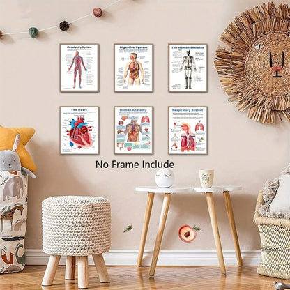 6pcs Anatomical Human Body Poster Set- Frameless Design, 8x10 Inches, 2D Flat Graphic, Paper Material, Human Biology, Anatomy Charts, Science Poster Prints For High School, Education, Classroom Decor