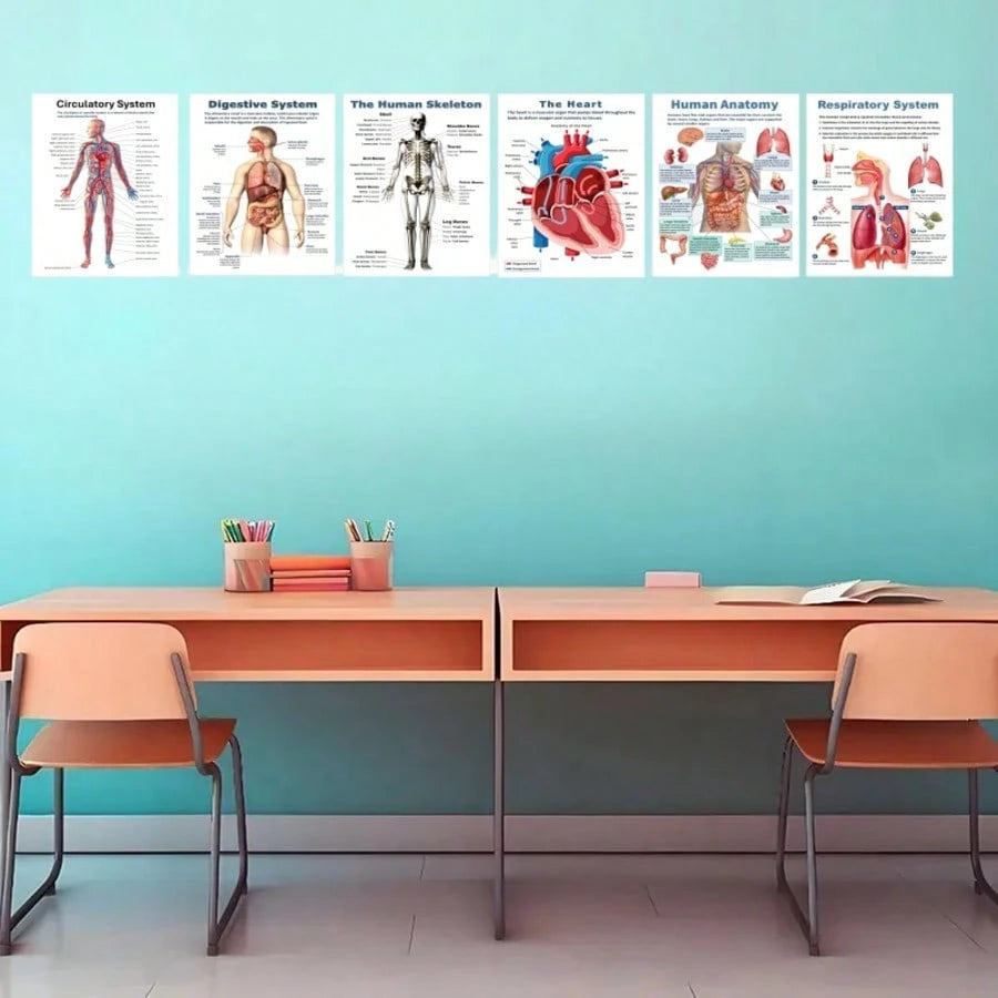6pcs Anatomical Human Body Poster Set- Frameless Design, 8x10 Inches, 2D Flat Graphic, Paper Material, Human Biology, Anatomy Charts, Science Poster Prints For High School, Education, Classroom Decor