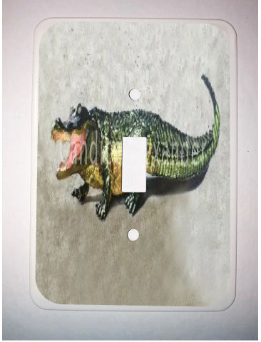 Single Switch Plate