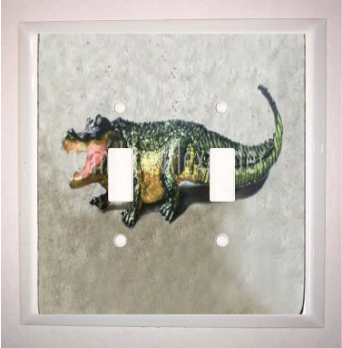 Double Switch Plate