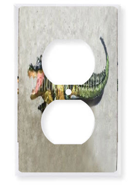 Outlet Plate