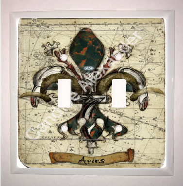 Double Switch Plate