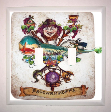 Double Switch Plate