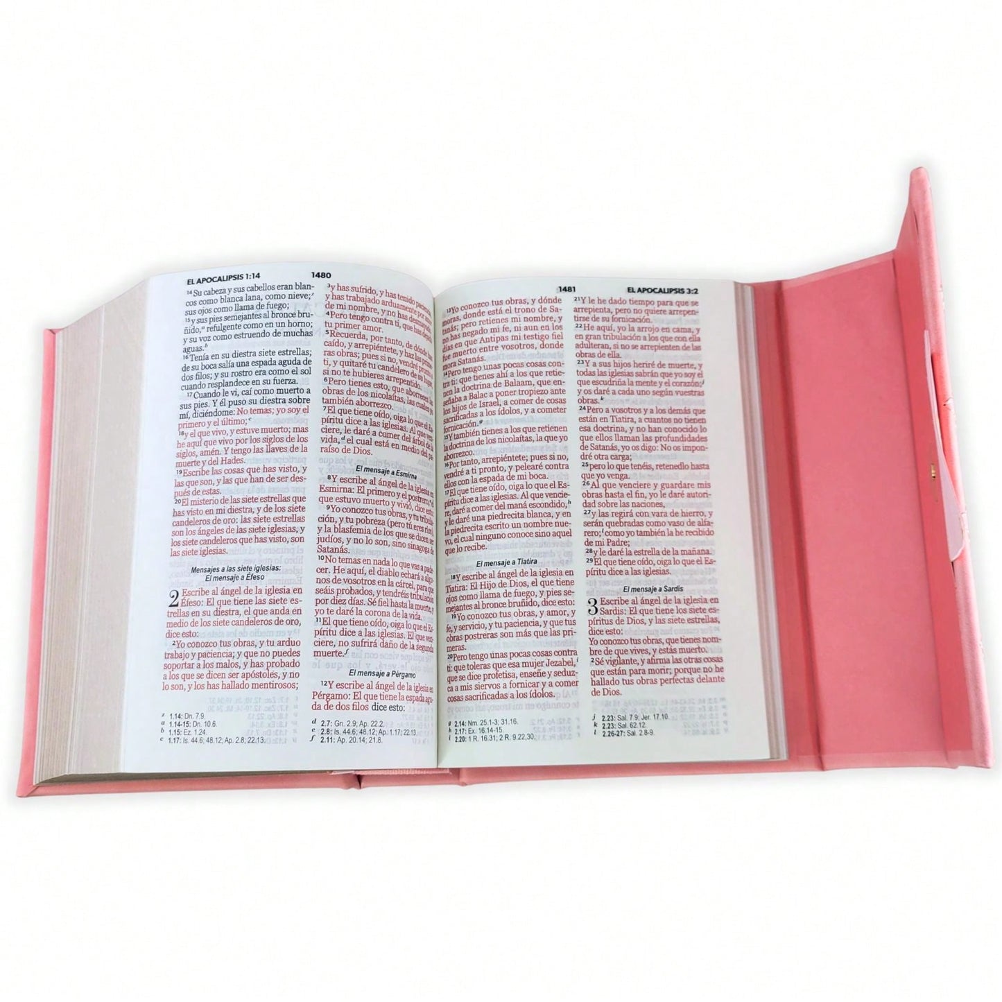 Biblia Cartera Con Broche Magnético Compacta RV1960, Imit Piel Coral Con Asa De Mano