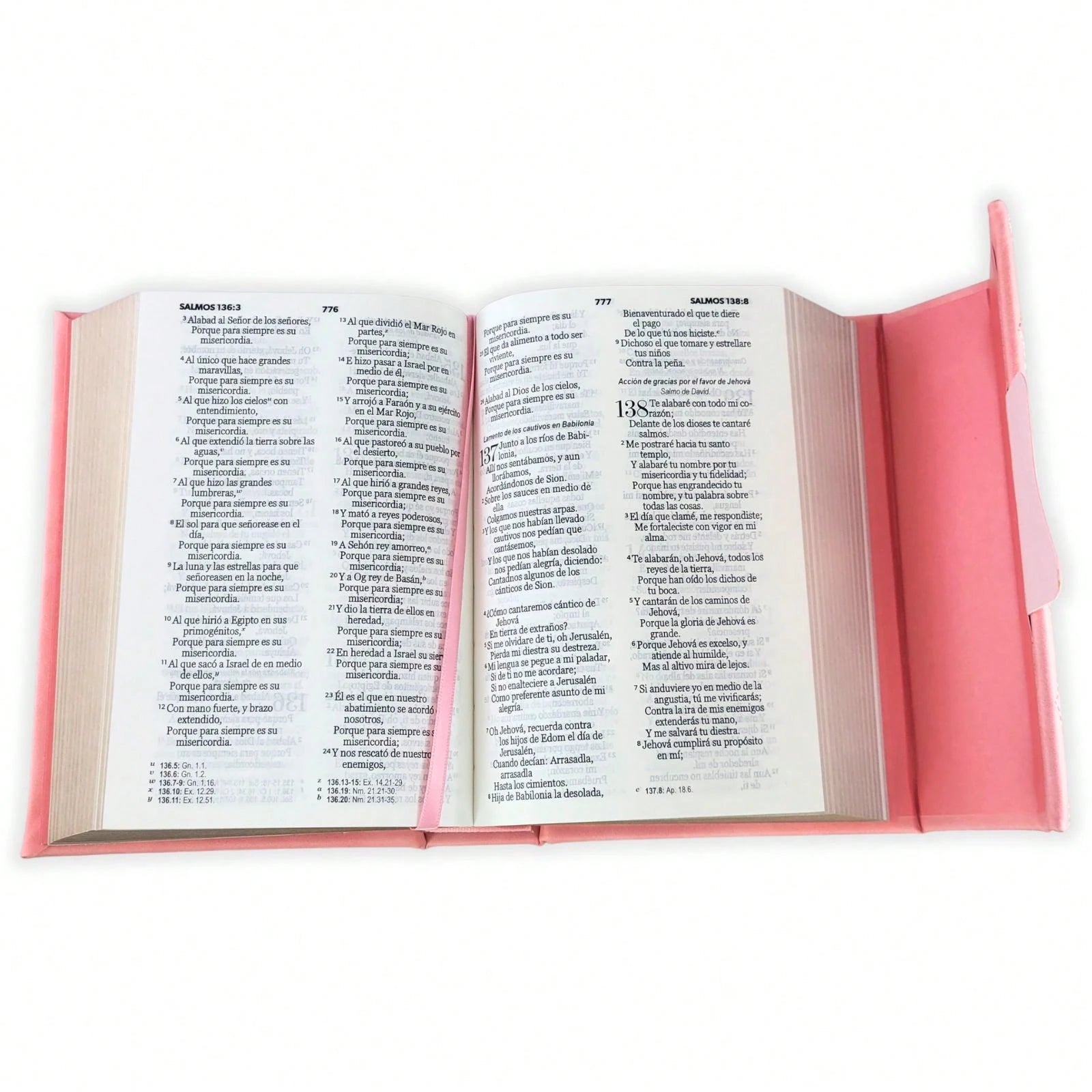 Biblia Cartera Con Broche Magnético Compacta RV1960, Imit Piel Coral Con Asa De Mano
