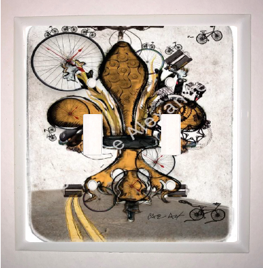 Double Switch Plate