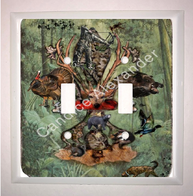 Double Switch Plate