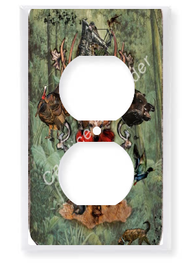 Outlet Plate