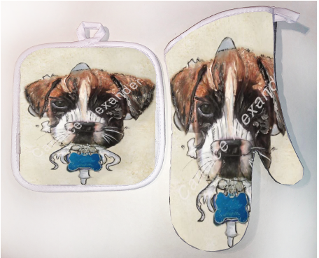Pot Holder & Oven Mitt Set