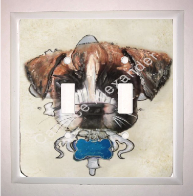 Double Switch Plate