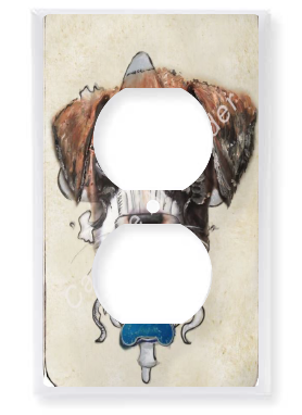 Outlet Plate