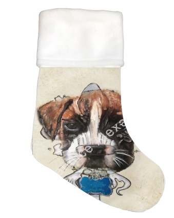 Boxer