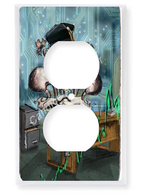 Outlet Plate