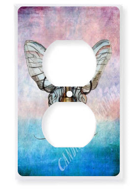 Outlet Plate