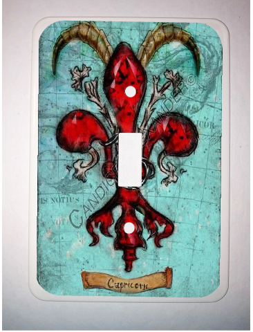 Single Switch Plate