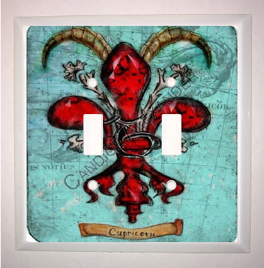 Double Switch Plate