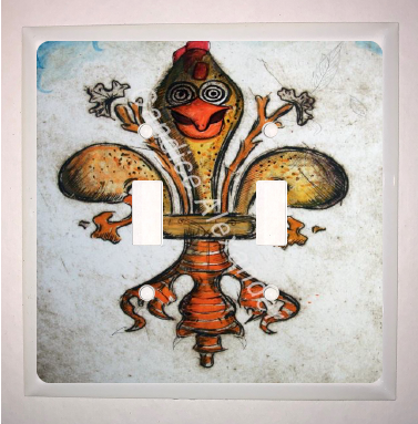 Double Switch Plate