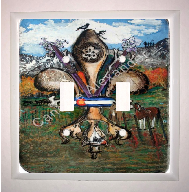 Double Switch Plate