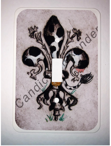 Single Switch Plate
