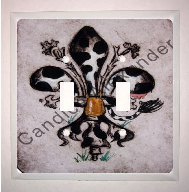 Double Switch Plate