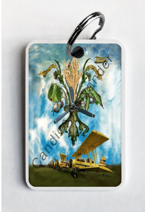 Large Keychain