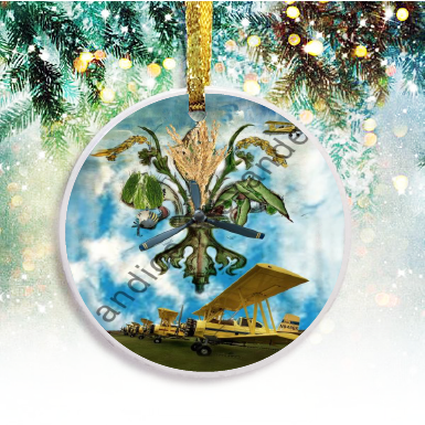 Ornament (1)
