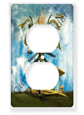 Outlet Plate