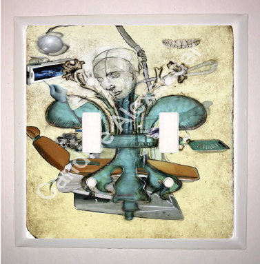 Double Switch Plate