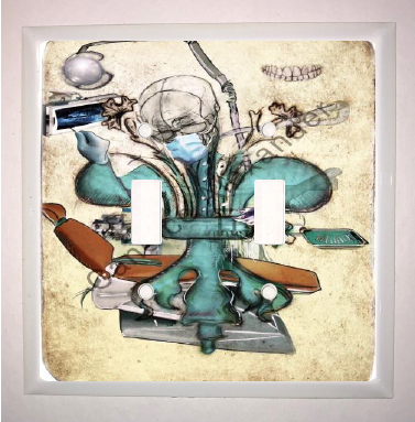 Double Switch Plate