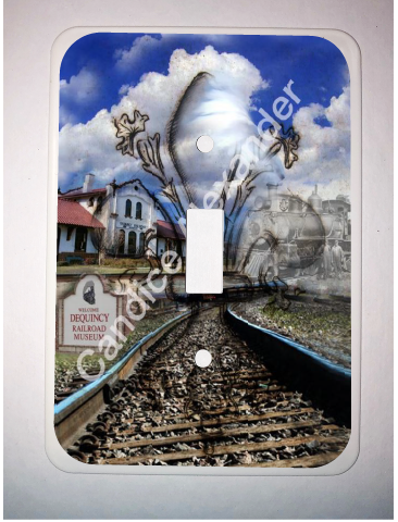 Single Switch Plate