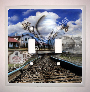 Double Switch Plate