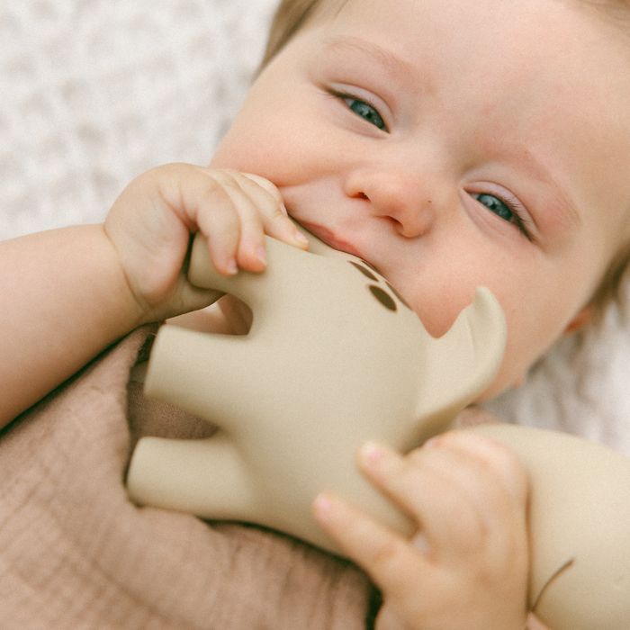 Diplo the Dino-Dragon Natural Rubber Teether