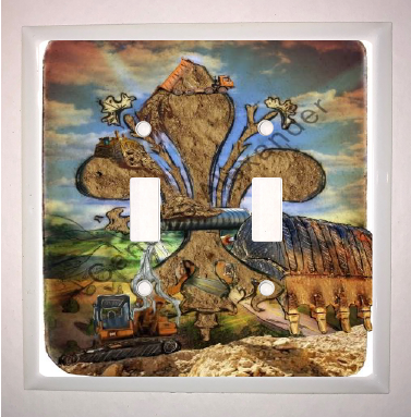 Double Switch Plate