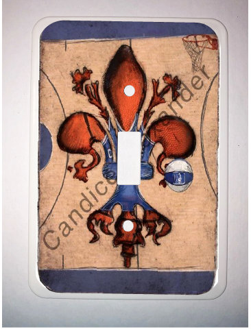 Single Switch Plate