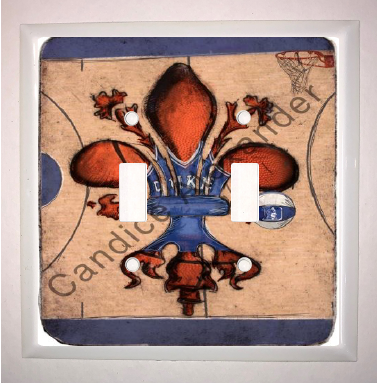 Double Switch Plate