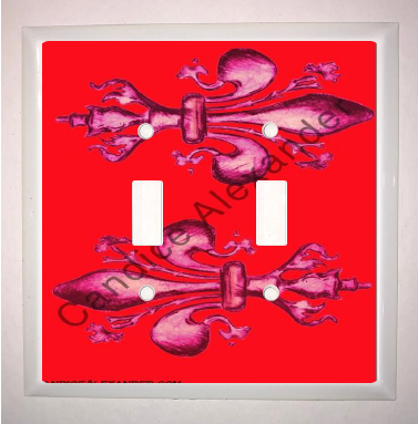 Double Switch Plate