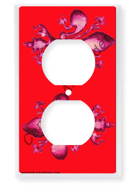 Outlet Plate