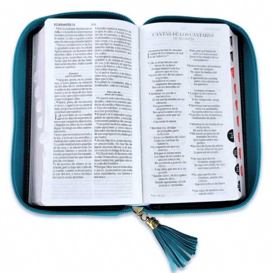 ESV Journaling Bible, Interleaved Edition (Trutone, Mahogany, Mosaic Cross Design) (Hardcover) By Esv Bibles