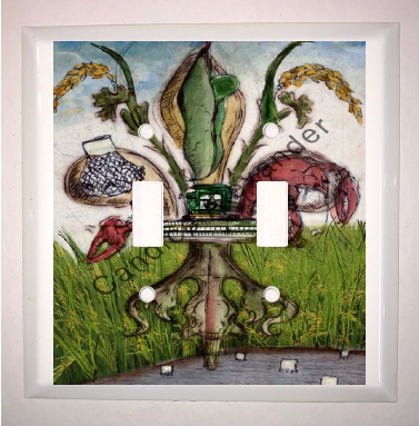 Double Switch Plate